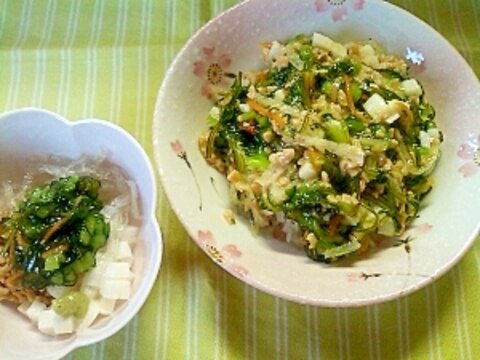 野沢菜昆布のネバネバ丼